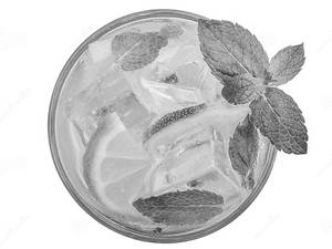 Virgin Mojito