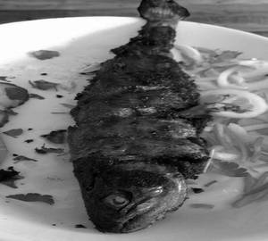 Bangda Oil Fry