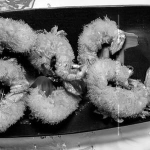 Golden Fried Prawns