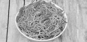 Veg Noodles