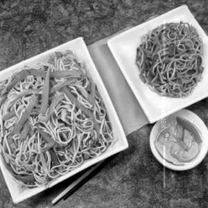 Veg Hakka Noodles 