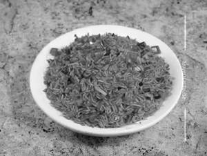 Crispy Vegetable Rice