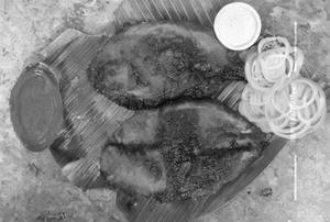 Rawa Fry Pomfret