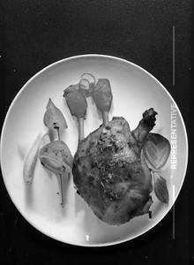Stuffed Chicken Diane