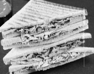 American Sandwich