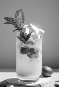 Virgin Mojito