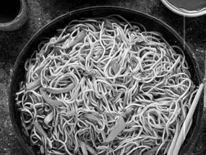 Veg Noodles                                                 