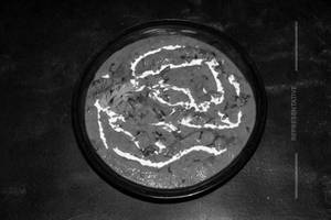 Murg Makhani