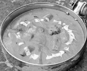 Tamatar paneer