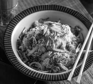 Saigon Vermi Noodle