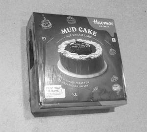 Havmor Mud Cake [500Ml]