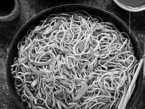 Veg Noodles