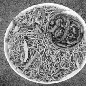 Veg Celebration Noodle