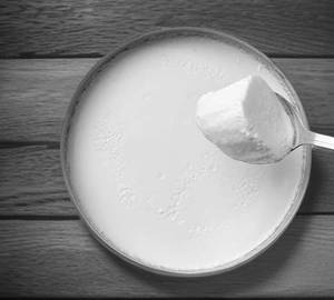 Plain Dahi