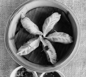 Sweet And Sour Jade Dimsum