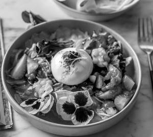 Burrata Salad