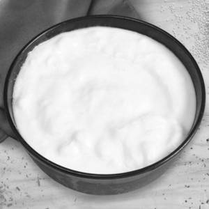 Plain Curd