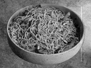 Veg Schezwan Noodles                  