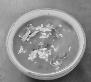 Minestrone Soup