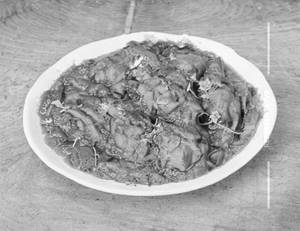 Shev Bhaji