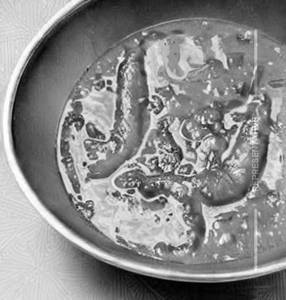 Fish in Lemon Coriander Sauce