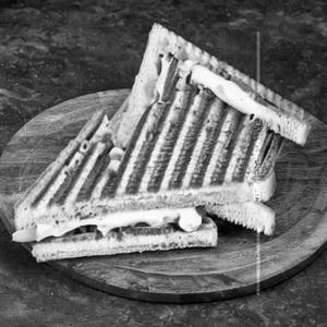 Veg Cheese Sandwich                  