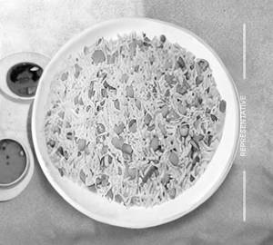 Kaju Fried Rice