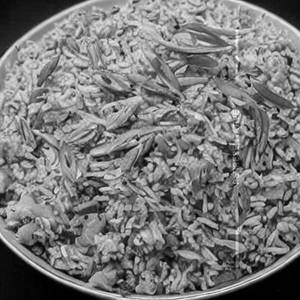Gobi Rice