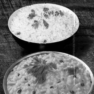 Curd Rice