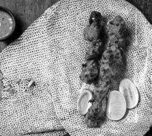 Thangidi kabab                                                              