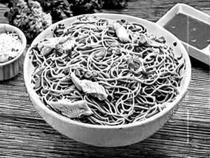 Chicken Noodles