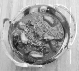 Mushroom Do Pyaza