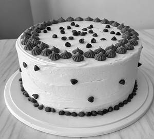Chocochip Vanilla Cake