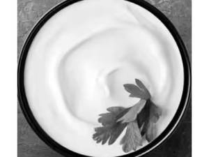 Plain Dahi