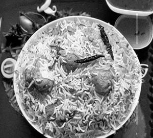 Handi Biryani