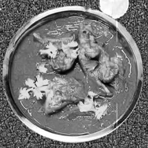 Chicken Lababdar Curry
