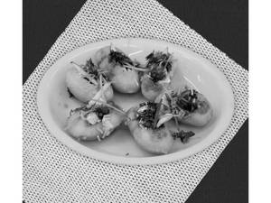 Dahi Golgappa