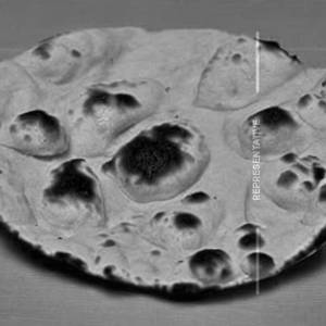Plain Tandoori Roti 