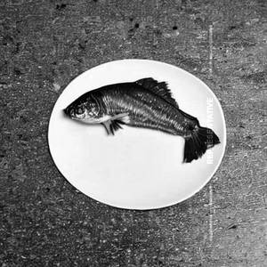 Apollo Fish