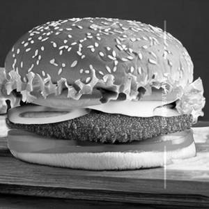 Cheese Burger