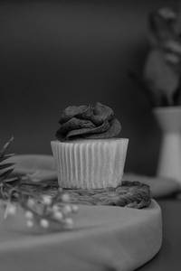 Blueberry Cupcake