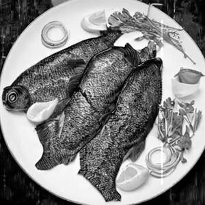 Apollo Fish