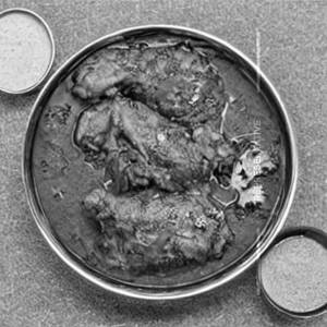 Methi Chicken