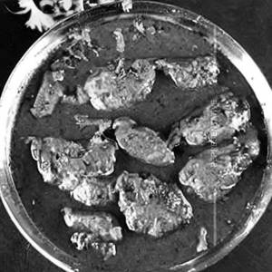 Methi Chicken