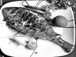 Butter Fish