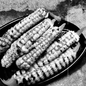 Baby Corn Majestic