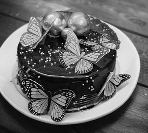 Butterfly Chocolate Cake 500gm