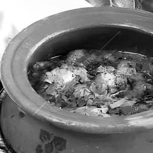 Chicken Handi