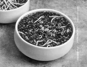 Veg Manchow Soup