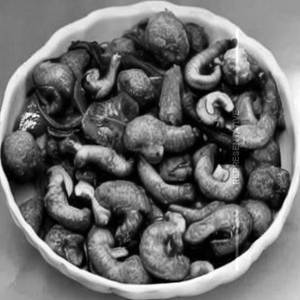 Chicken Cashew Nut & Mushroom